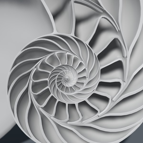 3d nautilus shell cut - Nautilus shell cut... by legendar1